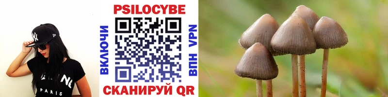 где найти   Суворов  Псилоцибиновые грибы прущие грибы 