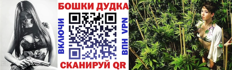 Конопля план Суворов